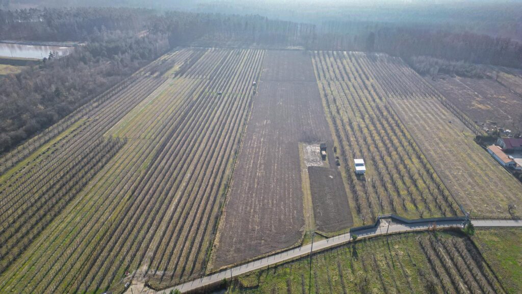 Działka rolna 2,25 ha - Marianka koło Tarczyna - zdjęcie 7