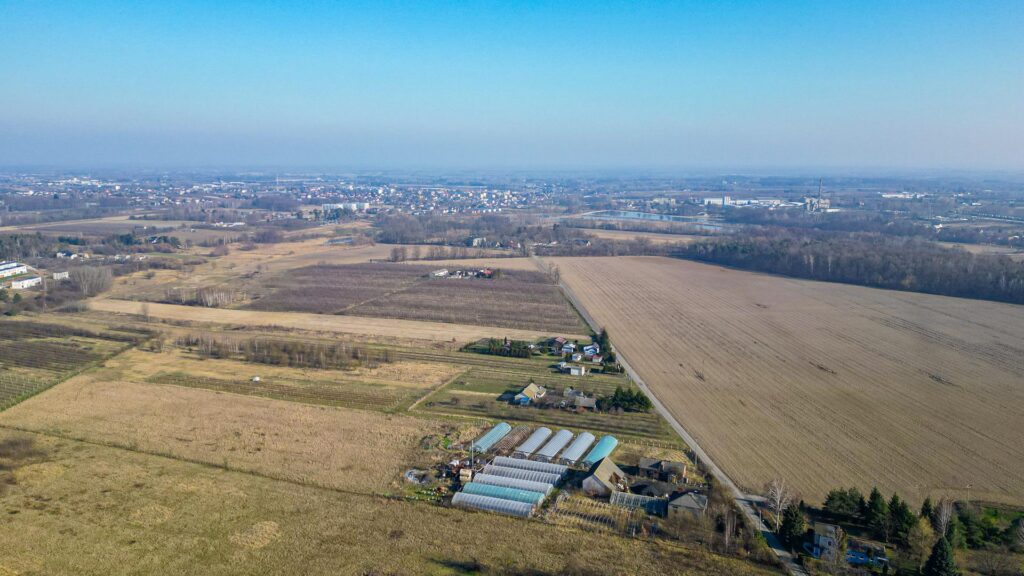 Działka rolna 2,25 ha - Marianka koło Tarczyna - zdjęcie 9