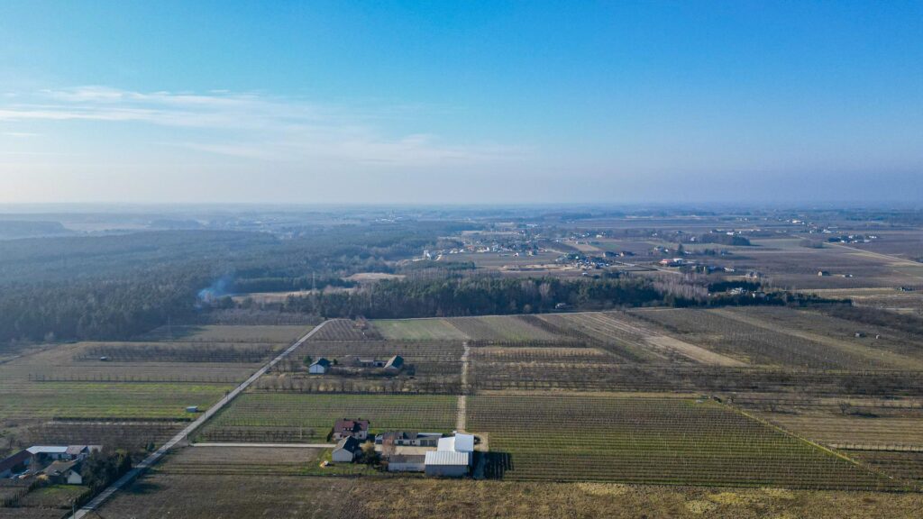Działka rolna 2,25 ha - Marianka koło Tarczyna - zdjęcie 12