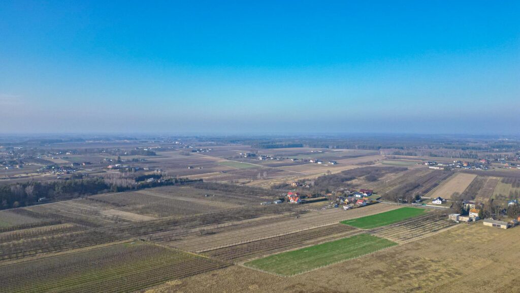 Działka rolna 2,25 ha - Marianka koło Tarczyna - zdjęcie 13