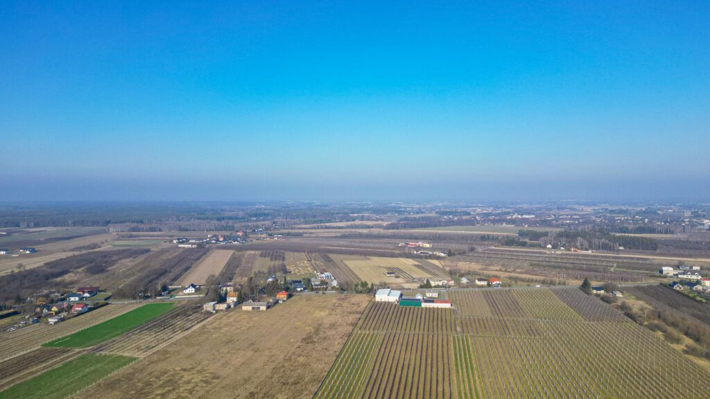 Działka rolna 2,25 ha - Marianka koło Tarczyna - zdjęcie 14