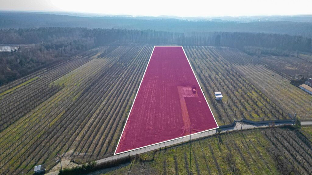 Działka rolna 2,25 ha - Marianka koło Tarczyna - zdjęcie 5