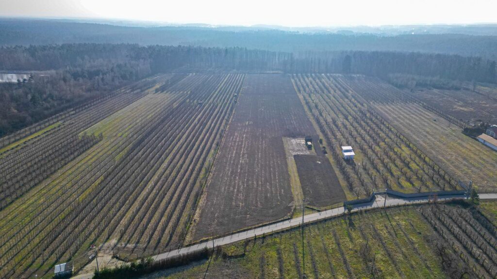 Działka rolna 2,25 ha - Marianka koło Tarczyna - zdjęcie 15
