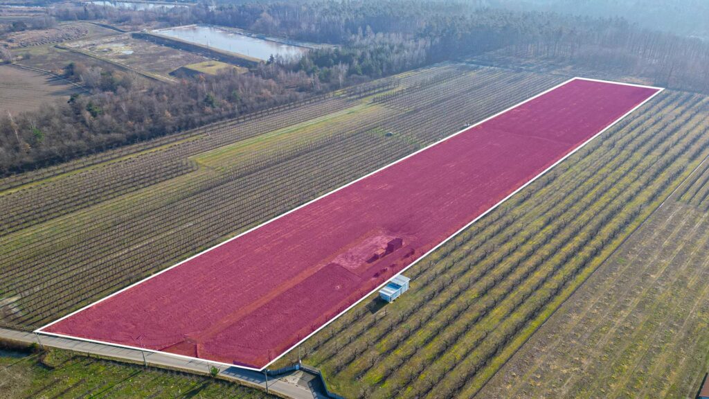 Działka rolna 2,25 ha - Marianka koło Tarczyna - zdjęcie 1