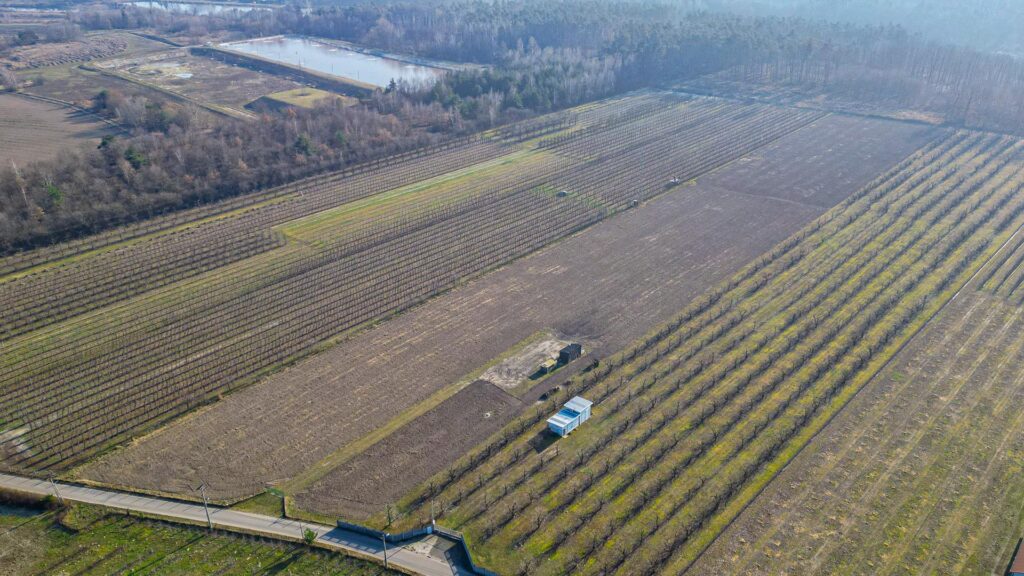 Działka rolna 2,25 ha - Marianka koło Tarczyna - zdjęcie 16