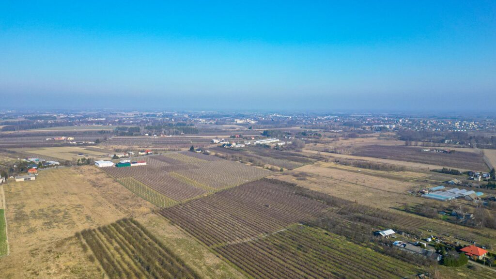 Działka rolna 2,25 ha - Marianka koło Tarczyna - zdjęcie 19