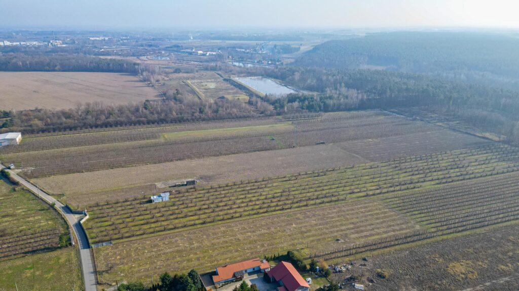 Działka rolna 2,25 ha - Marianka koło Tarczyna - zdjęcie 20