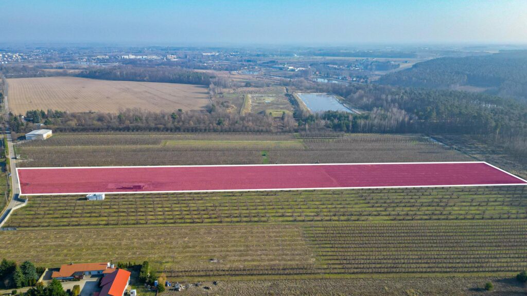 Działka rolna 2,25 ha - Marianka koło Tarczyna - zdjęcie 6