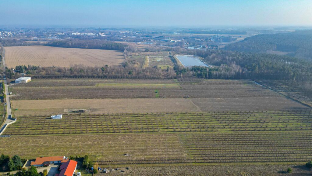 Działka rolna 2,25 ha - Marianka koło Tarczyna - zdjęcie 23