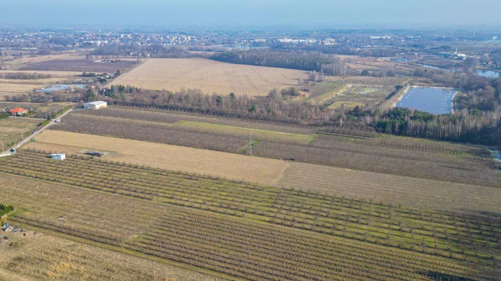 Działka rolna 2,25 ha - Marianka koło Tarczyna - zdjęcie 24
