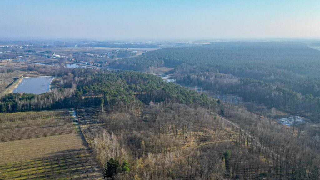 Działka rolna 2,25 ha - Marianka koło Tarczyna - zdjęcie 25