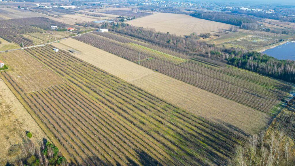 Działka rolna 2,25 ha - Marianka koło Tarczyna - zdjęcie 21
