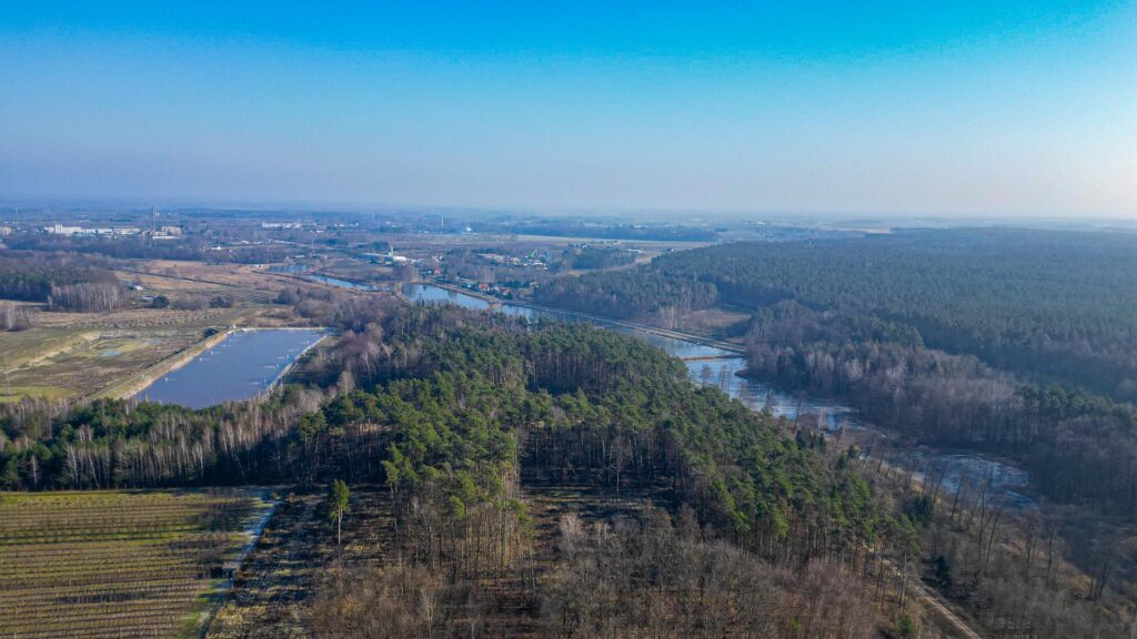 Działka rolna 2,25 ha - Marianka koło Tarczyna - zdjęcie 26