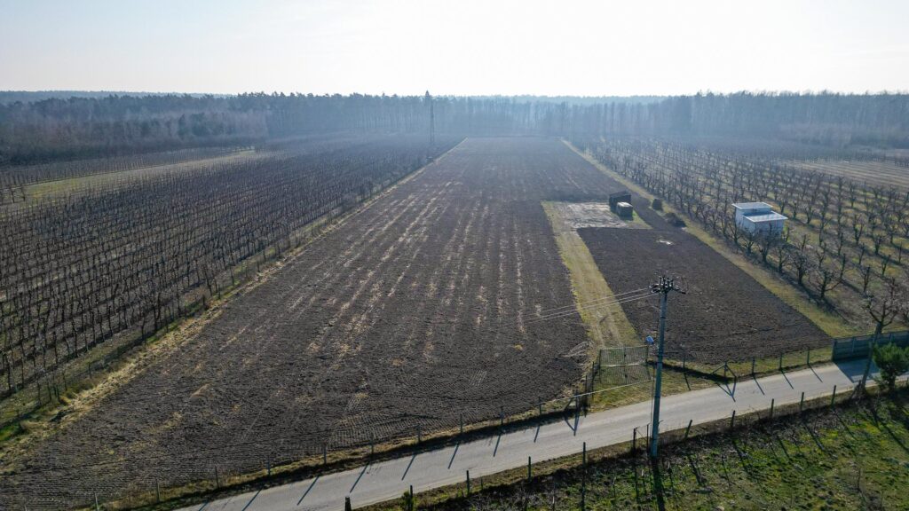 Działka rolna 2,25 ha - Marianka koło Tarczyna - zdjęcie 27