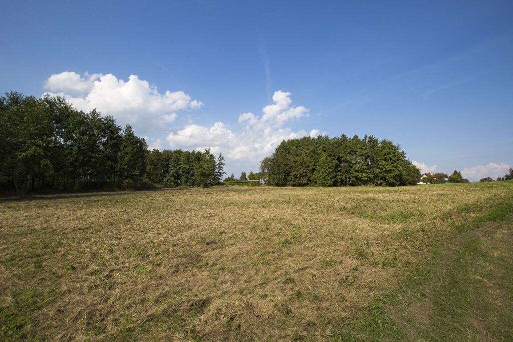 Działka 14,67 ar w Rzeszowie ul. Kukuczki - zdjęcie 3