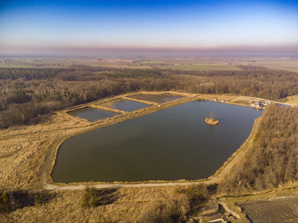 ,,Łowisko"- dom, stawy i domki letniskowe - 20 ha! - zdjęcie 24