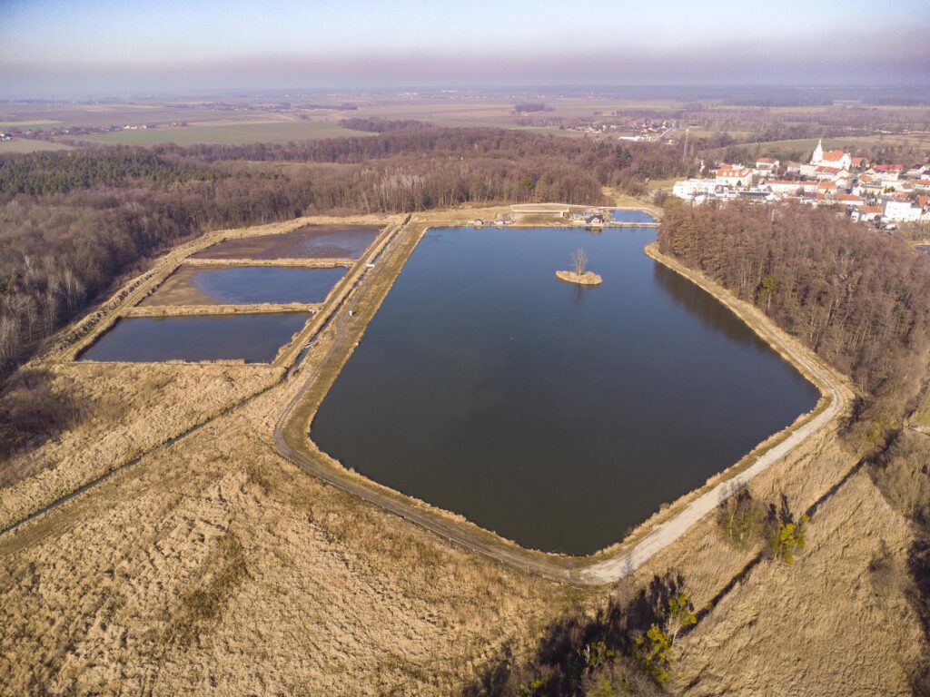 ,,Łowisko"- dom, stawy i domki letniskowe - 20 ha! - zdjęcie 6