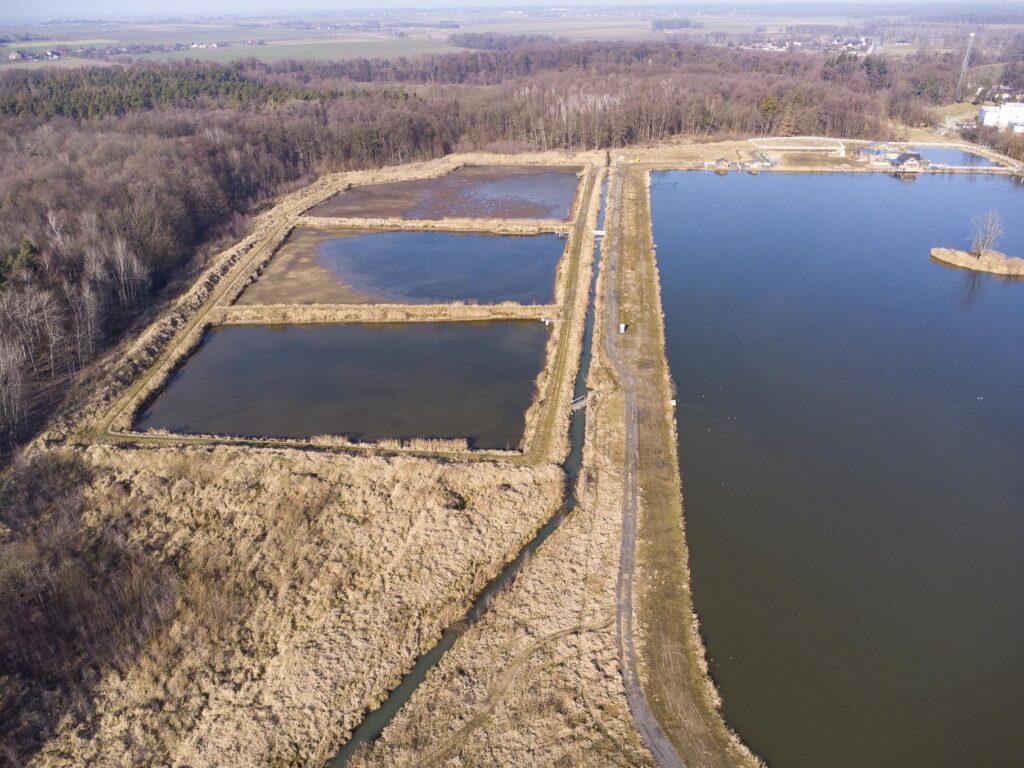 ,,Łowisko"- dom, stawy i domki letniskowe - 20 ha! - zdjęcie 7