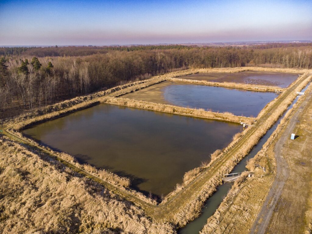 ,,Łowisko"- dom, stawy i domki letniskowe - 20 ha! - zdjęcie 4