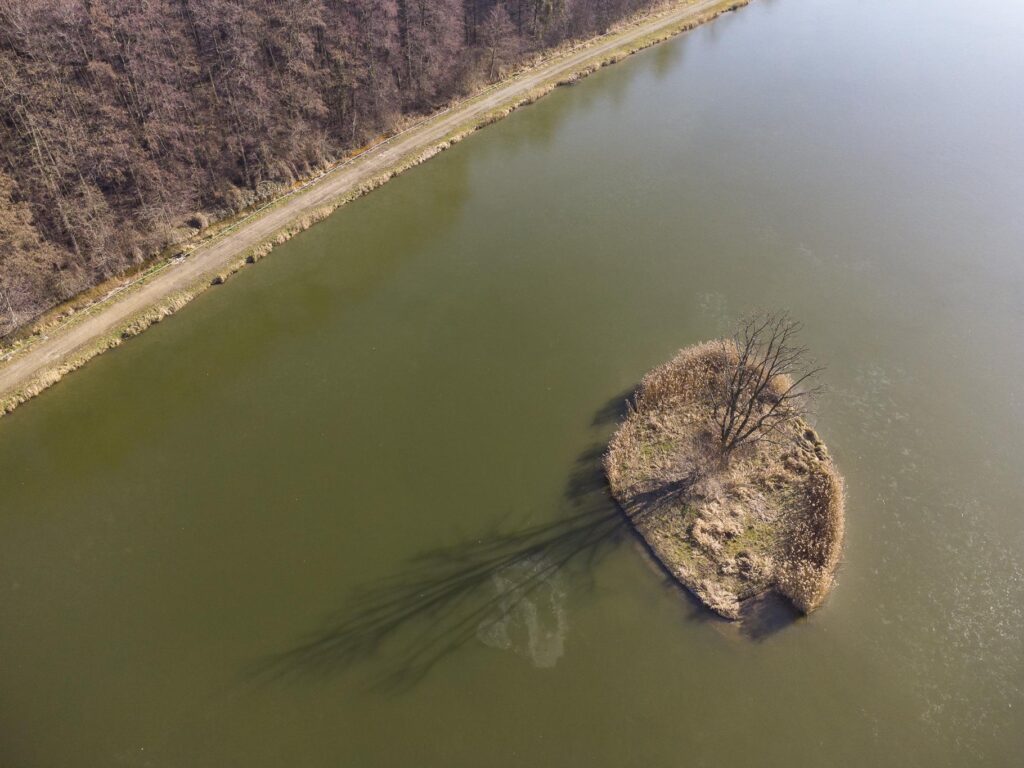,,Łowisko"- dom, stawy i domki letniskowe - 20 ha! - zdjęcie 13
