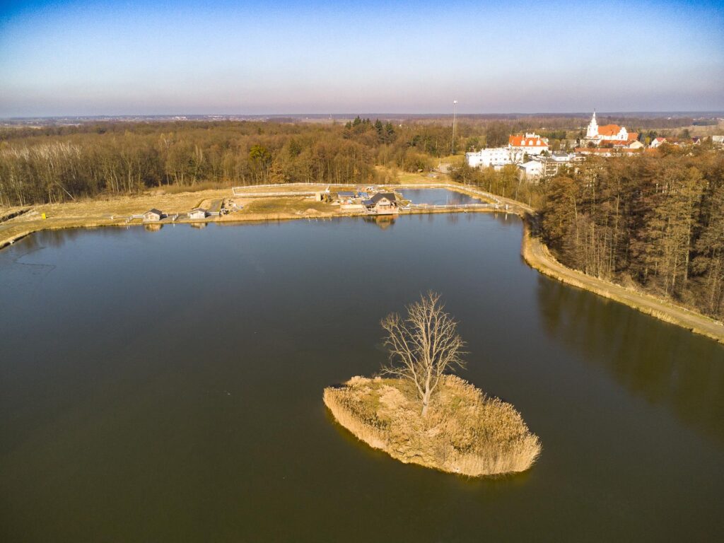 ,,Łowisko"- dom, stawy i domki letniskowe - 20 ha! - zdjęcie 10