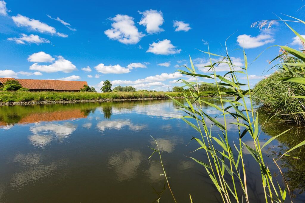 Sprzedam Dom Elbląg/Bielnik II, nad Nogatem. Cegła, mur pruski, wiele elementów drewnianych i kamień - zdjęcie 18