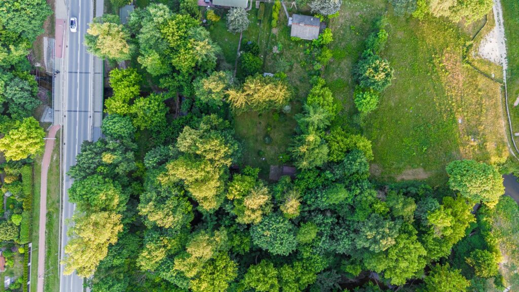 Działka pod rekreację własną lub budowę domu - zdjęcie 7