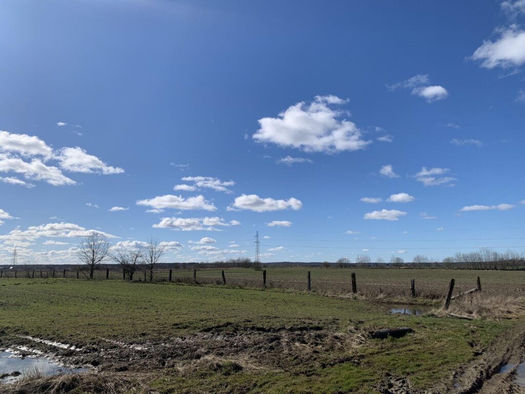 Działka inwestycyjna Wołczkowo, 2074 m², WZ - zdjęcie 5