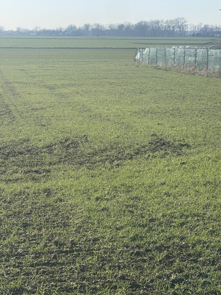 Działka budowlana 1100 m2 w cudownym położeniu - zdjęcie 5