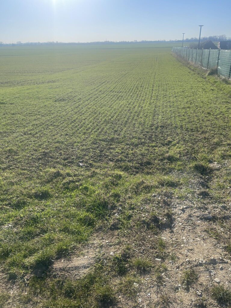 Działka budowlana 1100 m2 w cudownym położeniu - zdjęcie 11