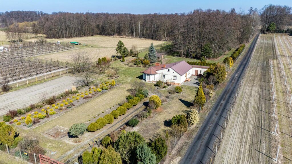 Przepiękny teren 7400 m2 z domem - zdjęcie 2