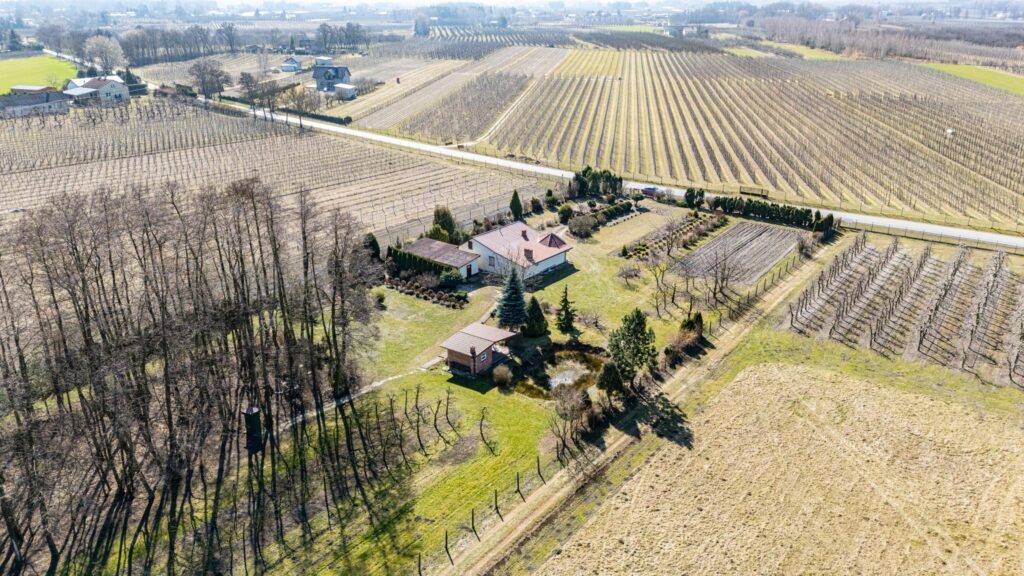 Przepiękny teren 7400 m2 z domem - zdjęcie 13