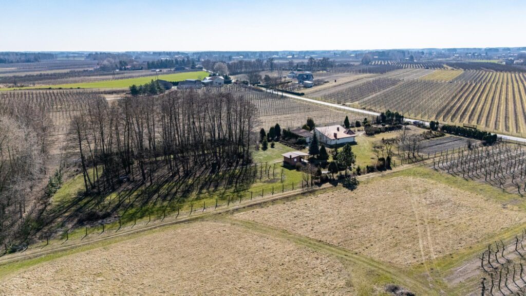 Przepiękny teren 7400 m2 z domem - zdjęcie 14