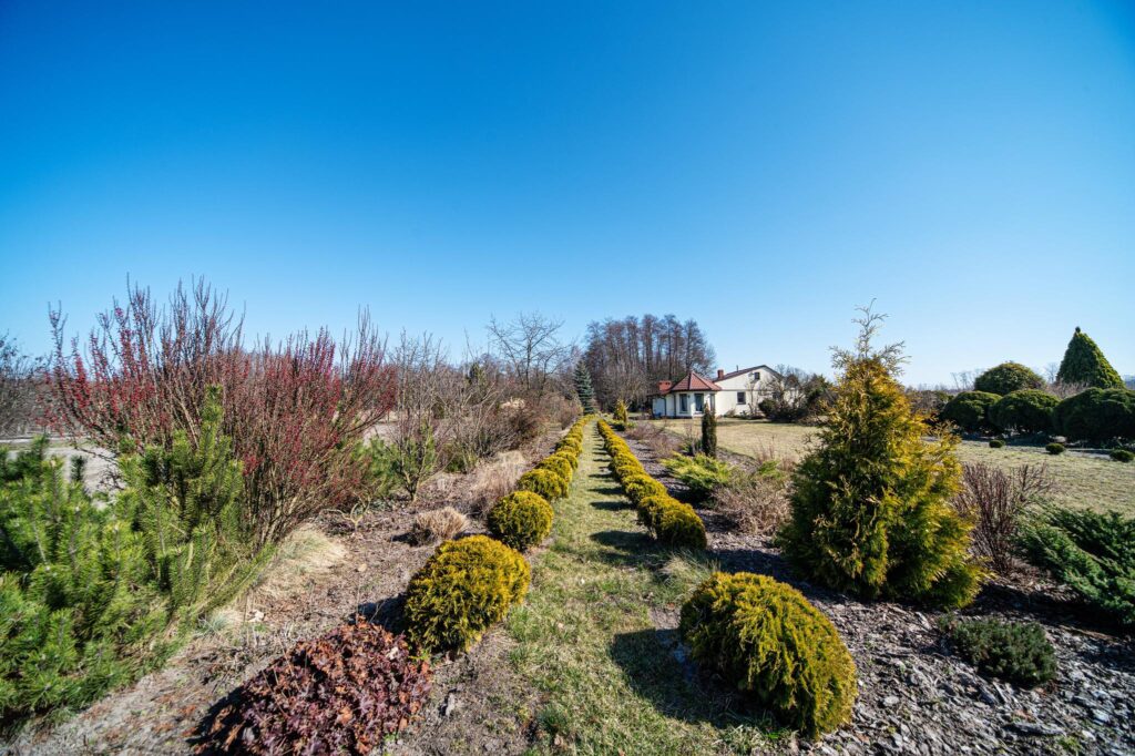 Przepiękny teren 7400 m2 z domem - zdjęcie 5