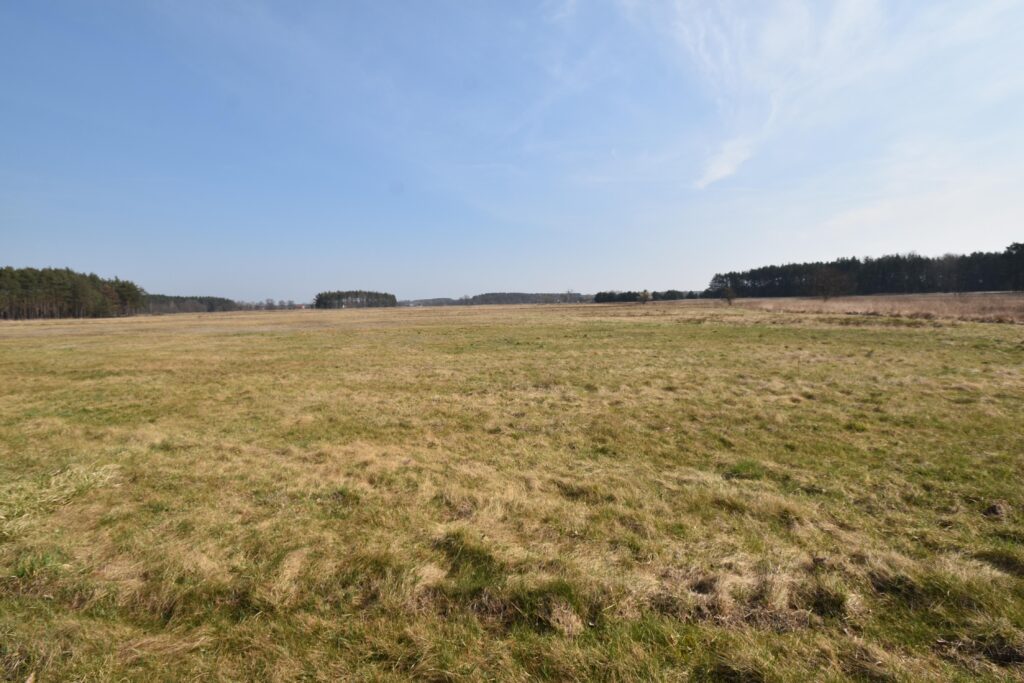 Działka 50 805 m2, 2 domy+b.gospodarczy,staw, las - zdjęcie 2