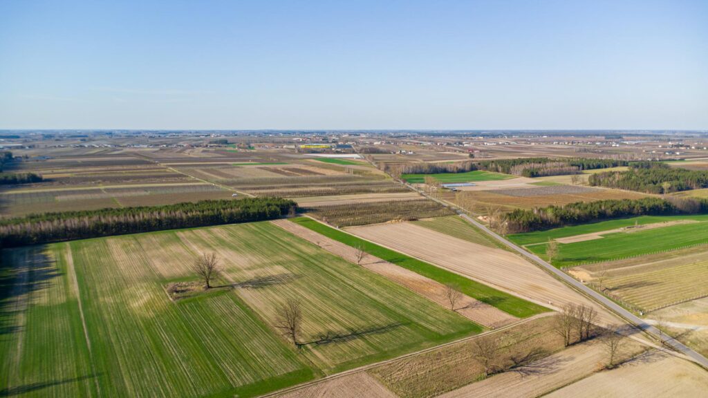 Teren inwestycji mieszkaniowej Promna 50600m2 - zdjęcie 9