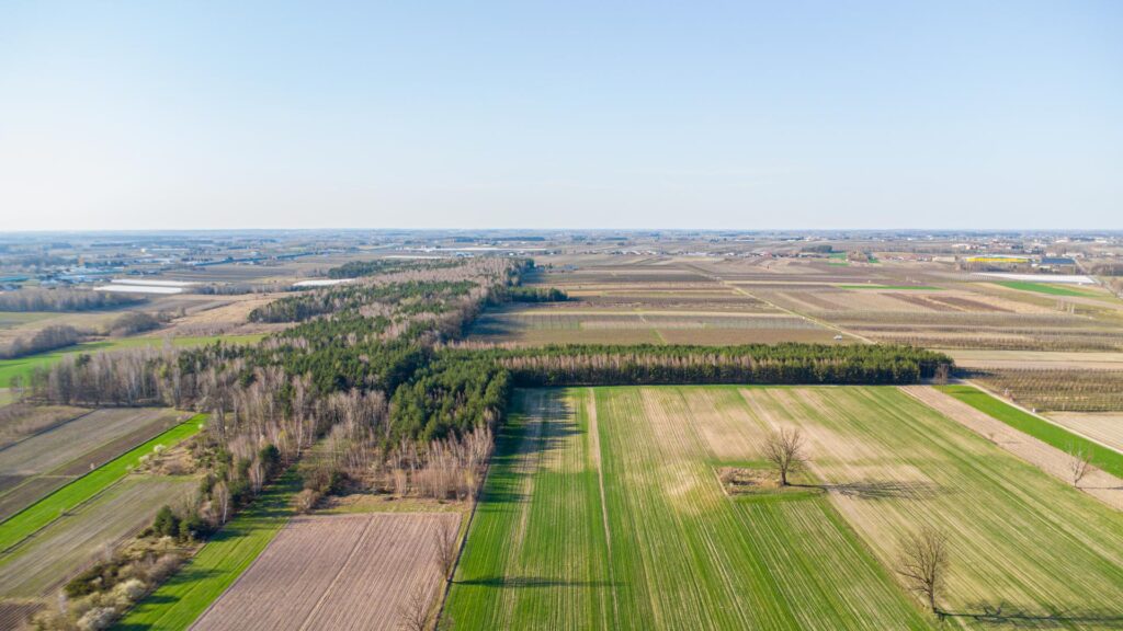 Teren inwestycji mieszkaniowej Promna 50600m2 - zdjęcie 10