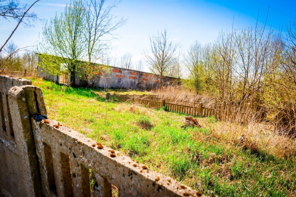 Nieruchomości gruntowe zabudowane – Brzyczno - zdjęcie 6