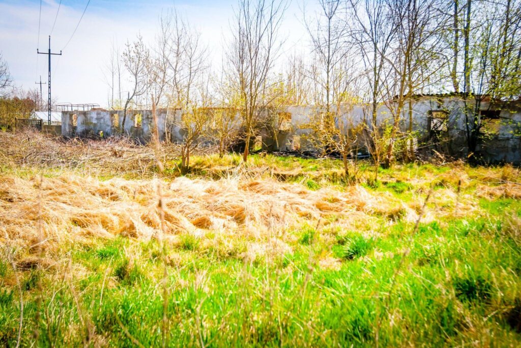 Nieruchomości gruntowe zabudowane – Brzyczno - zdjęcie 7