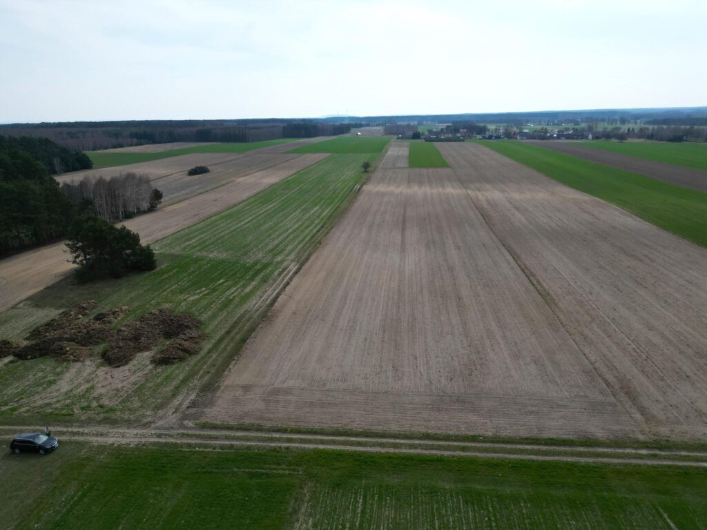 Działka rolna 1,5 ha, siedlisko Krosno Gorzkowcie - zdjęcie 2