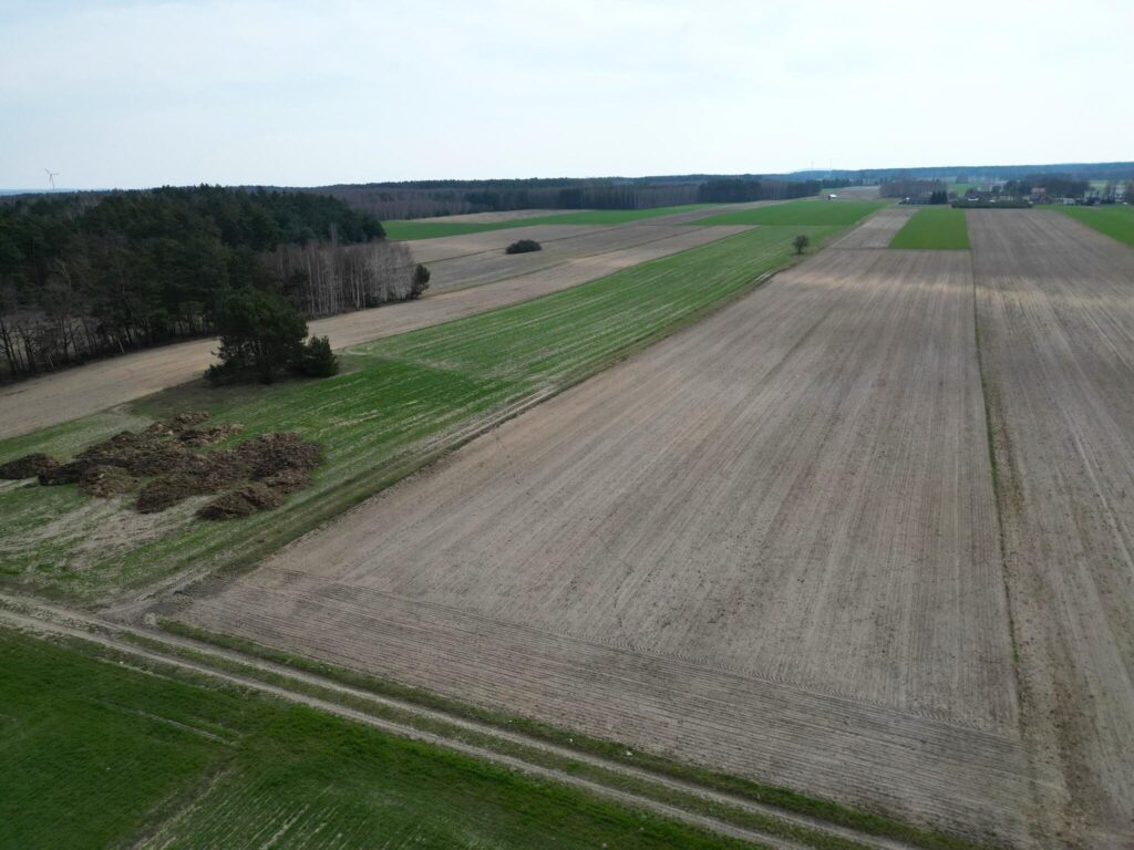 Działka rolna 1,5 ha, siedlisko Krosno Gorzkowcie - zdjęcie 3