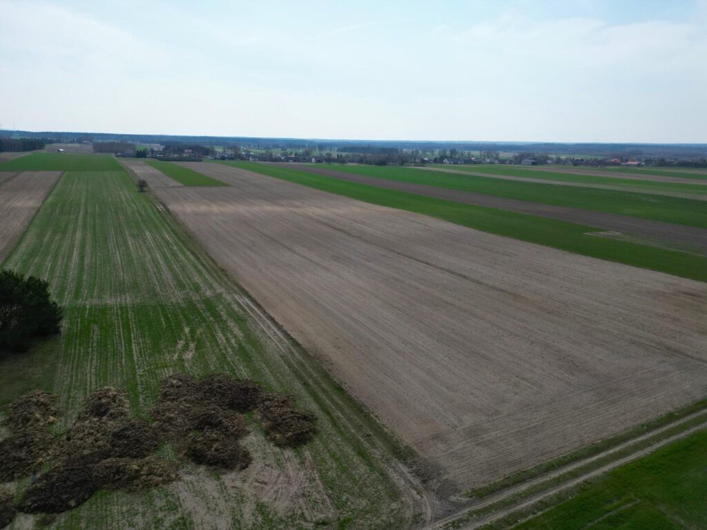 Działka rolna 1,5 ha, siedlisko Krosno Gorzkowcie - zdjęcie 4