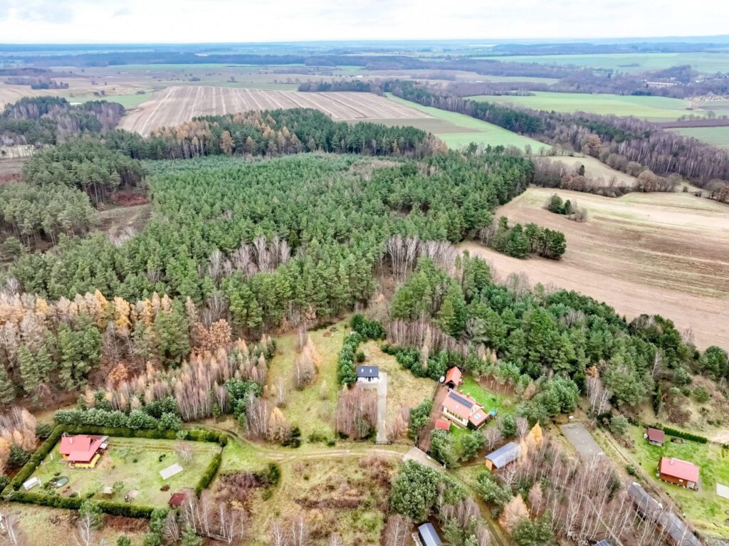 Duża działka z nowym domem letniskowym - zdjęcie 17