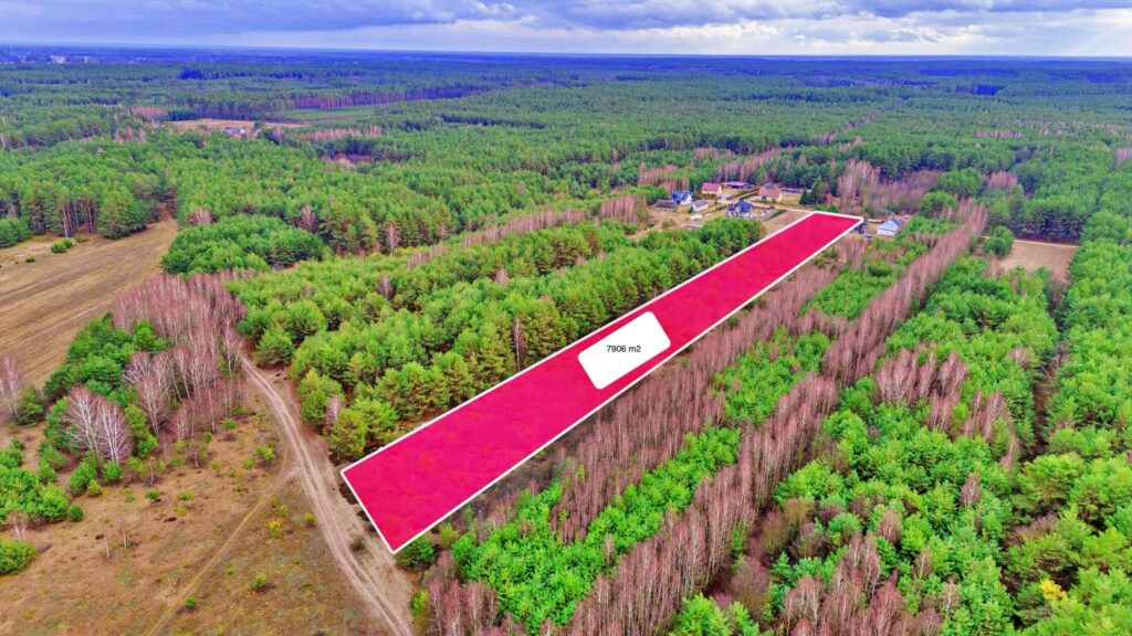 Działki w Kalinowie, Gmina Długosiodło - zdjęcie 2