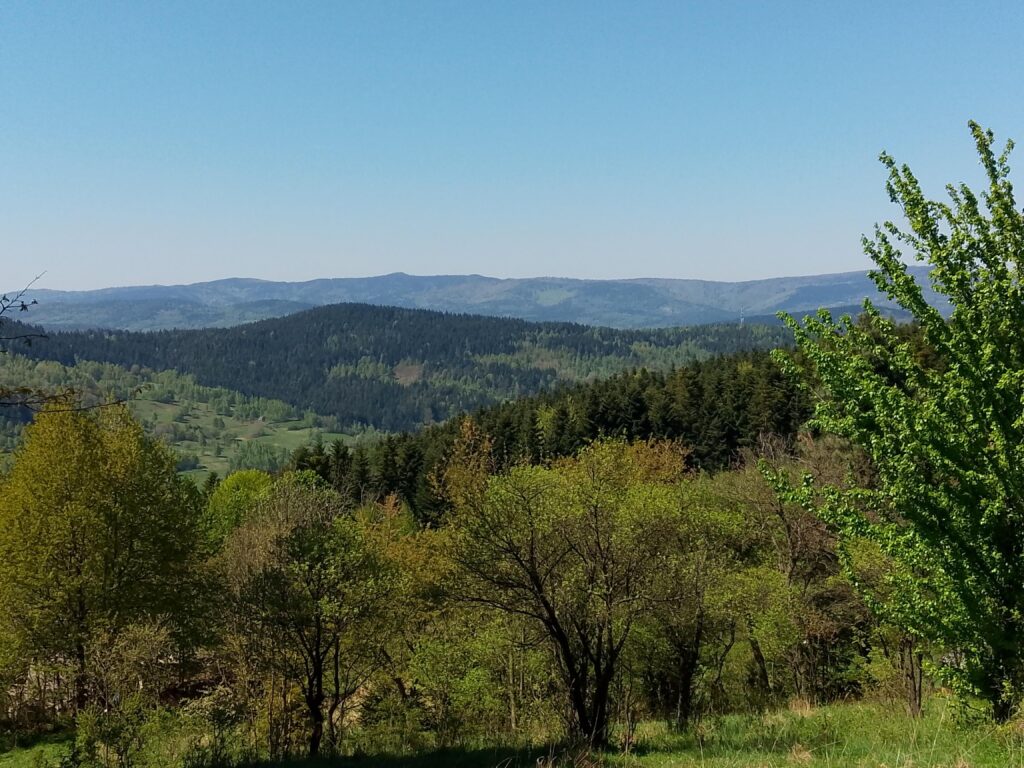 Dom do remontu z dużą działką!      Nowa cena!!! - zdjęcie 4