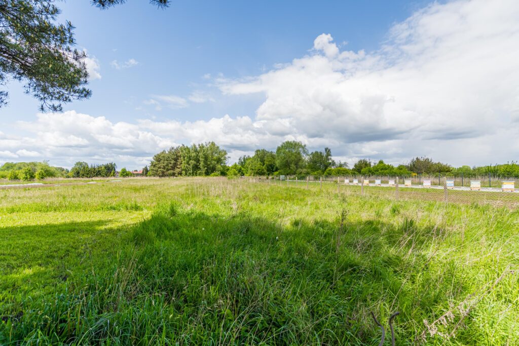 Dom i teren 2650 m² – idealne pod inwestycję! - zdjęcie 17