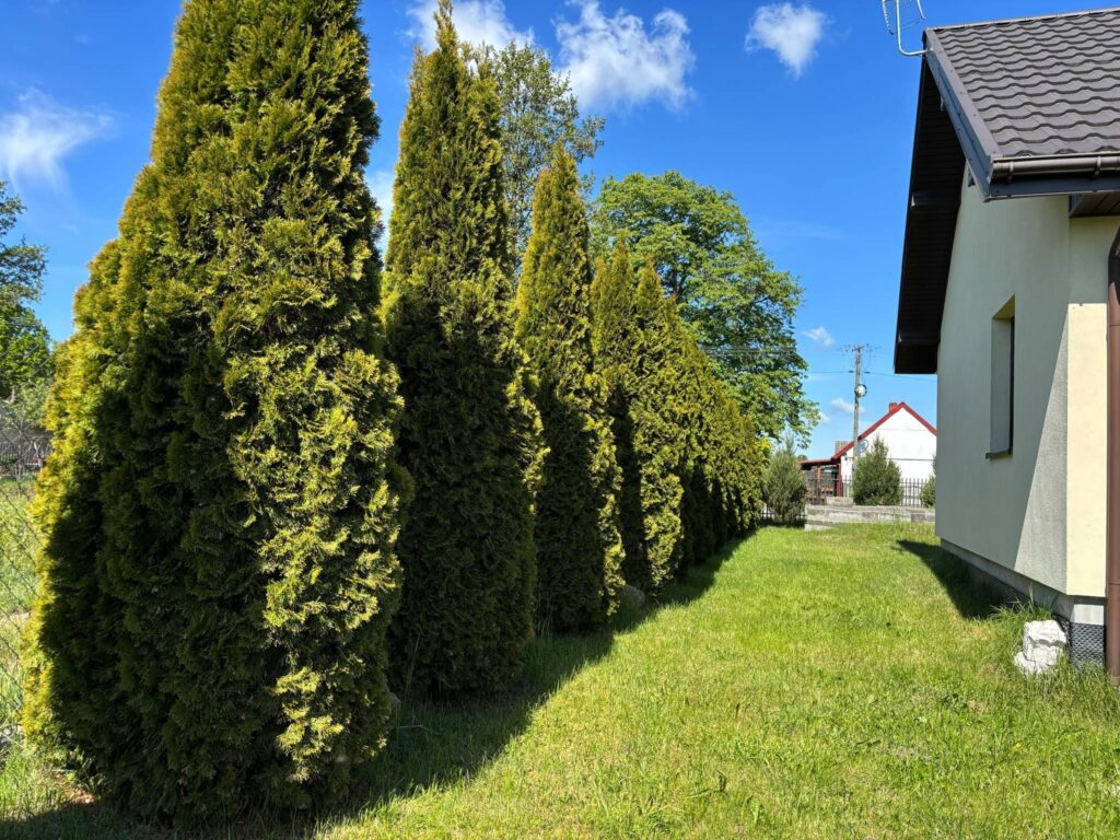 Nowy, parterowy dom + poddasze-na działce 1000 m2 - zdjęcie 7