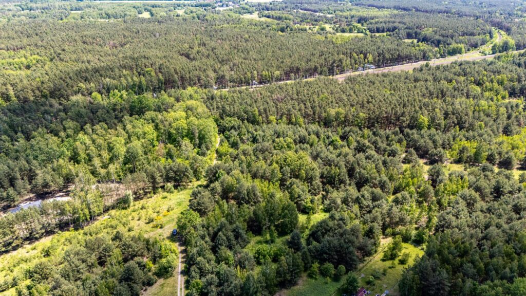 Urokliwa działka przy lesie - zdjęcie 11