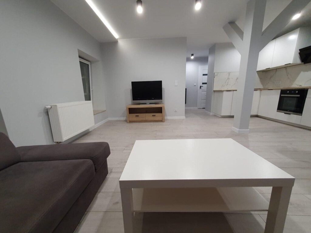 Mieszkanie,Centrum,49m²,po Kapitalnym Remoncie - zdjęcie 2