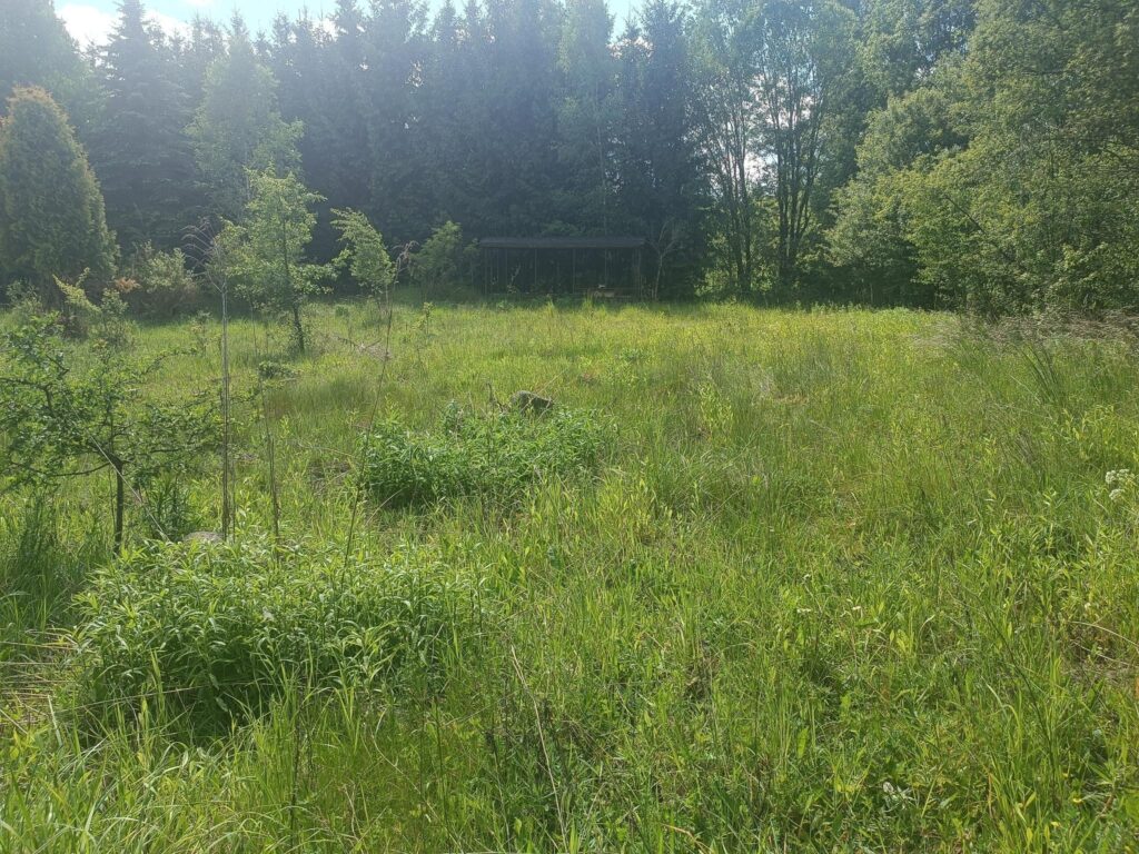 Działka z planem miejscowym blisko miasta - zdjęcie 9